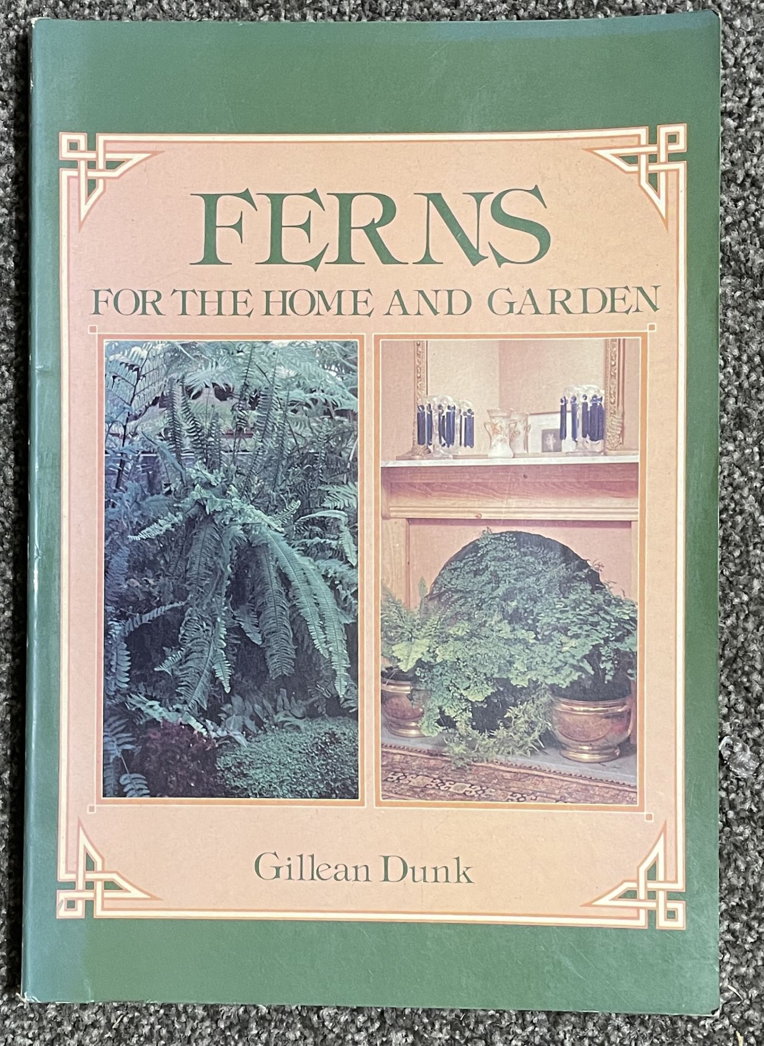 Ferns for the Home and Garden By Gillian Dunk